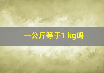 一公斤等于1 kg吗